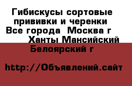 Гибискусы сортовые, прививки и черенки - Все города, Москва г.  »    . Ханты-Мансийский,Белоярский г.